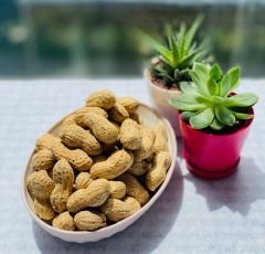 Kavrulmuş Kabuklu Yer Fıstığı 500 gr