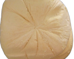 ŞAVŞAT GORCOLO PEYNİRİ (YAPILMAMIŞ TAZE ) (1KG)