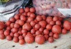 Starbaits SK30 Natural Food Source 20mm 3kg Boili