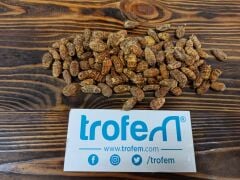 Trofem Tiger Nut Kaplan Fındığı Doğal Sazan Yemi