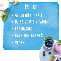 Alpro Orijinal Hindistan Cevizi Sütü 1 lt  x 8 Adet