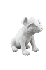 HYK328-GÖZLÜKLÜ BULLDOG