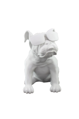 HYK328-GÖZLÜKLÜ BULLDOG
