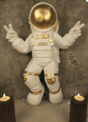 TRN141 - GOLD BEYAZ DUVAR ASTRONOT