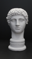 HERMES-EA207