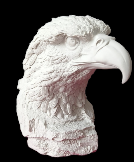 KARTAL BAŞI-HB446