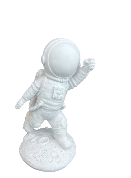 HYK1019 - MINI ASTRONOT