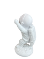 HYK1019 - MINI ASTRONOT