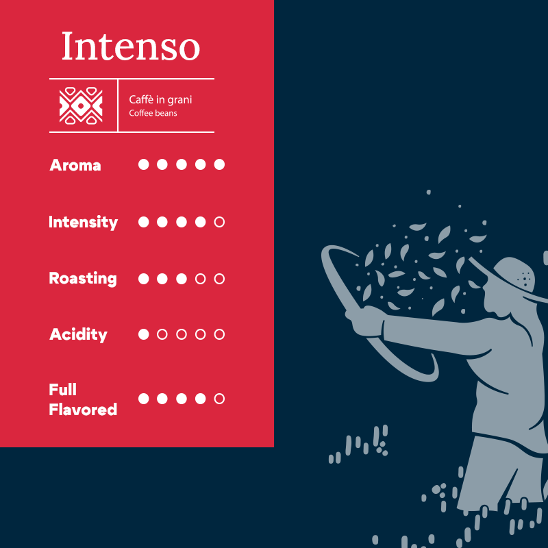Biancaffe Intenso Espresso Çekirdek Kahve 1 Kg