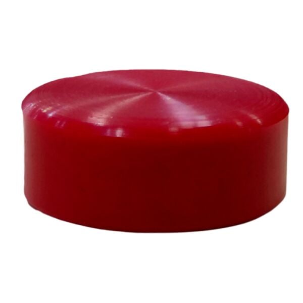 Sualtı Hokey Puck