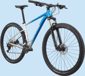 Cannondale Trail SL 4 29 Jant Dağ Bisikleti - Elektrik Mavisi