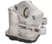 EGR VALFI MERCEDES OM626 OM622 W205 W447 . RENAULT R9M 1.6 dCi MEGANE TRAFIC KADJAR TALISMAN