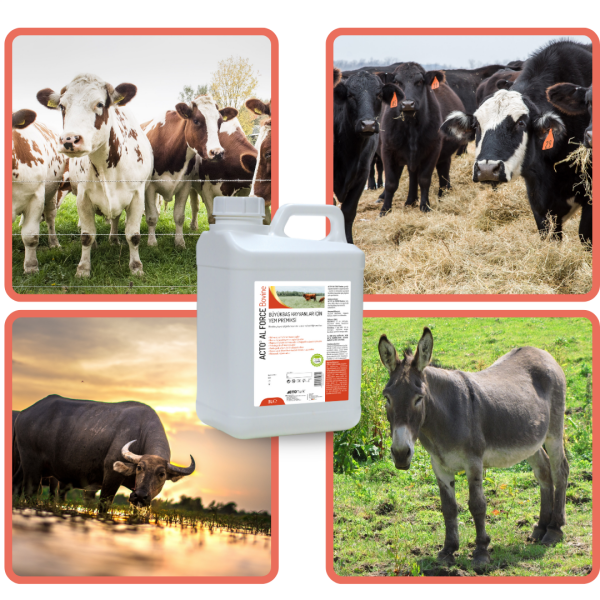 ACTO® AL FORCE BOVINE 5 Litre