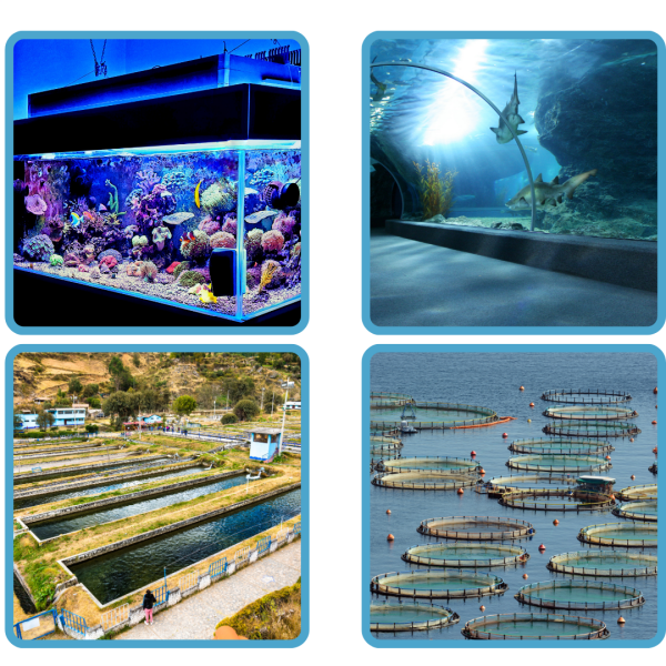 ACTO® Al FORCE FISH 1 Litre