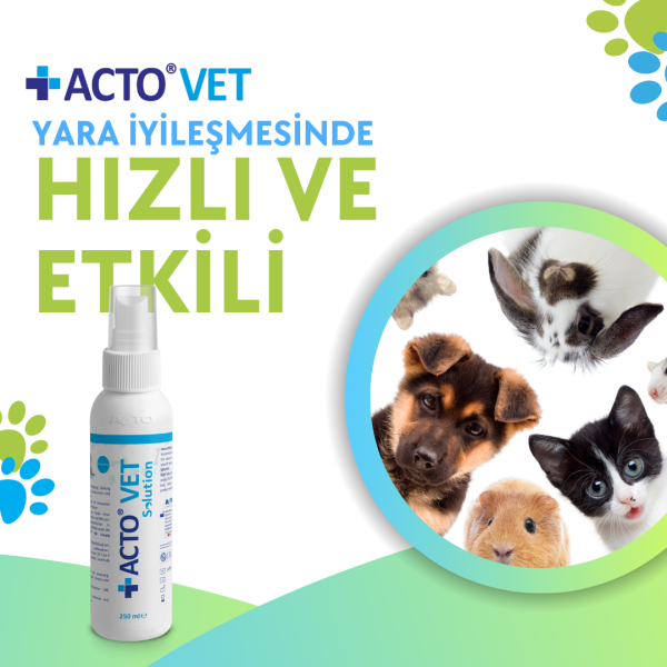 ACTO® VET SOLUTION 250 ml Kedi-Köpek için Yara Bakım Solüsyonu