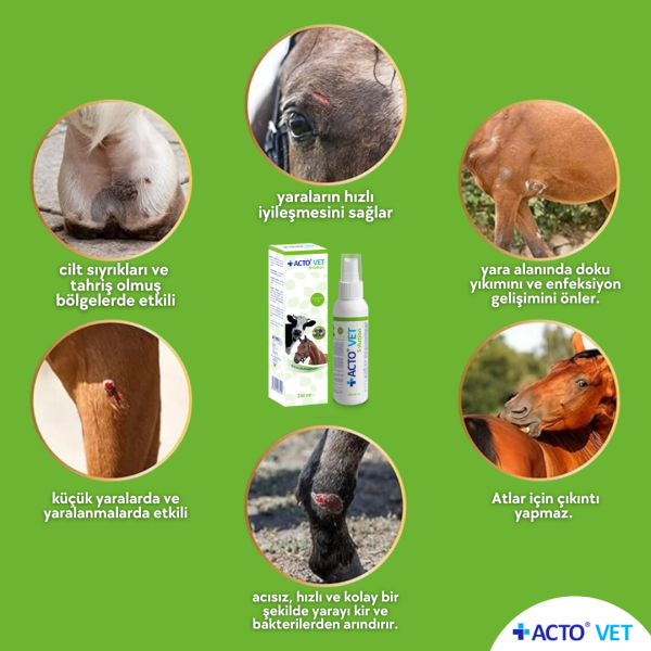 ACTO® VET SOLUTION 100 ml Büyükbaş Hayvanlar için Yara Bakım Solüsyonu