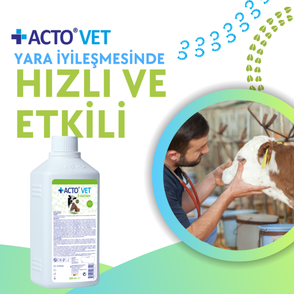 ACTO® VET SOLUTION 500 ml Büyükbaş Hayvanlar için Yara Bakım Solüsyonu