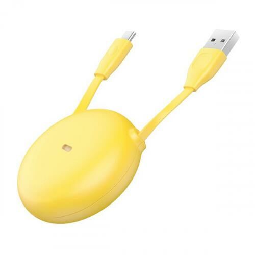 Baseus Lets Go Little Reunion Type-C Kablo Taşınabilir Seyahat USB Kablo 1metre CATRN-GY