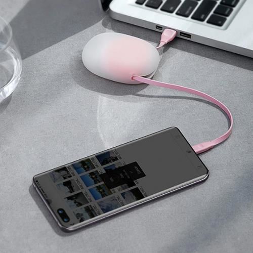 Baseus Lets Go Little Reunion Type-C Kablo Taşınabilir Seyahat USB Kablo 1metre CATRN-24