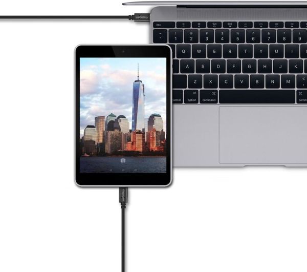 Spigen Essential USB-C to USB-A 3.1 Hızlı Şarj ve Data Kablo (1 Metre) C10C0