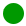 Neon Absinthe Green