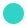 Turkuaz