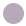 Orchid Gray