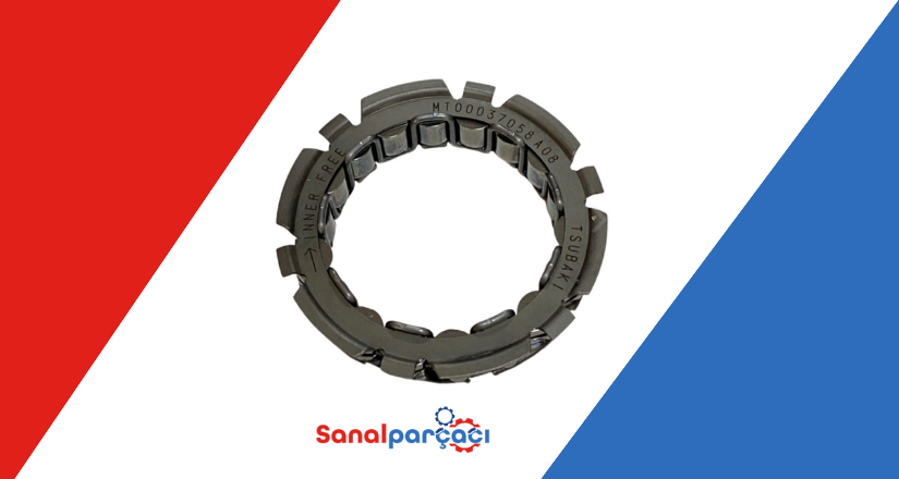 Egoz Bilyası Nedir? | Sanal Parçacı