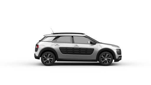C4 Cactus