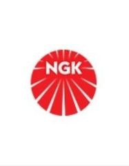 Mercedes W117 Ateşleme Bujisi Ngk Marka A0031591203