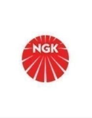Mercedes W213 Ateşleme Bujisi Ngk Marka A0031591203