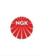 Mercedes W222 Ateşleme Bujisi Ngk Marka A0031591203
