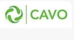 Mercedes W245 Vites Kol Lastiği Cavo Marka A2109920010