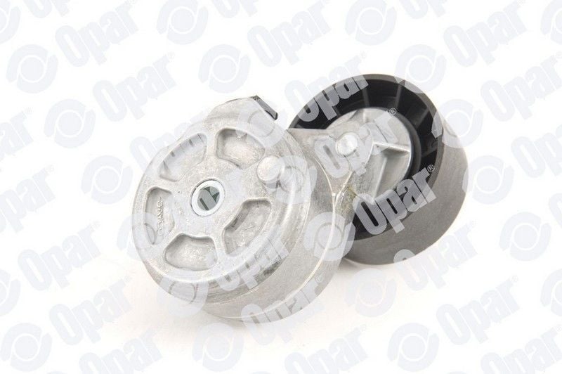 Fiat Strada 1.6 16V Alternatör Gergi Rulmanı Orijinal OPAR 71747798