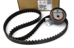 Citroen C2 1.4 8 клапанов бензиновый комплект ГРМ PSA Brand 0831.S0