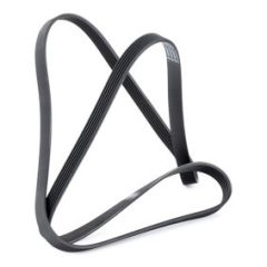 Mercedes X204 V Belt Gates Brand A0089979092
