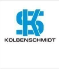 Mercedes W221 Valve Tappet Kolbenschmidt A1040501225