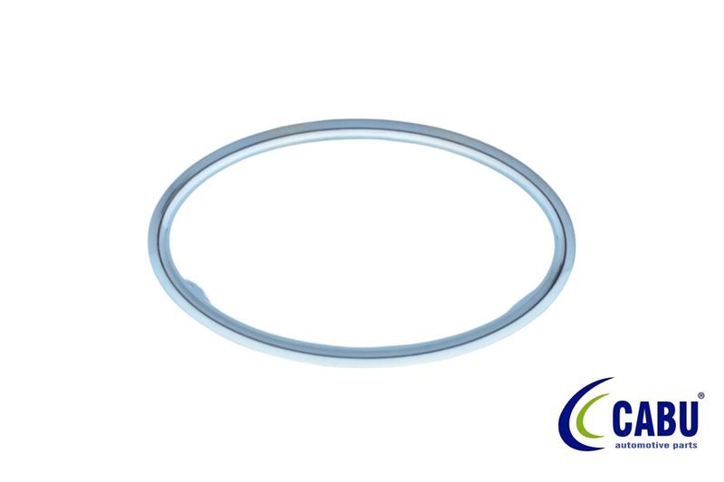 Ford Focus 2005 - 2011 Kalorifer Üfleyici Çerçevesi Krom Nikelaj Cabu Marka CBU 330812 - 4M51 A014L21 AE-CRV