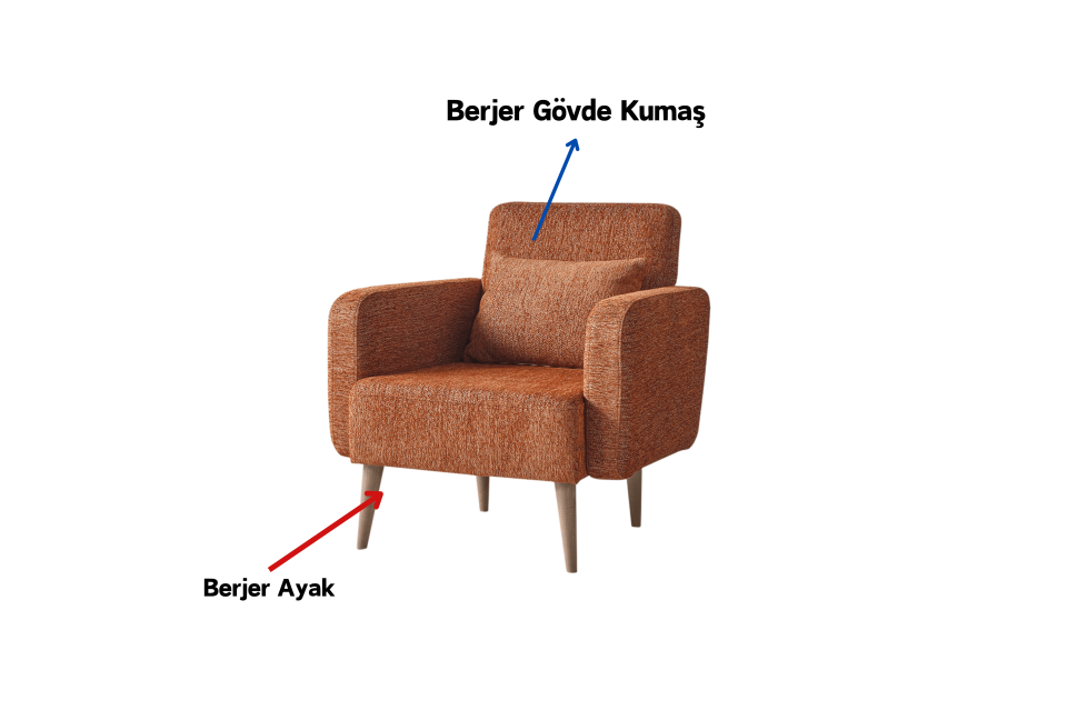 Zeron Modern Berjer