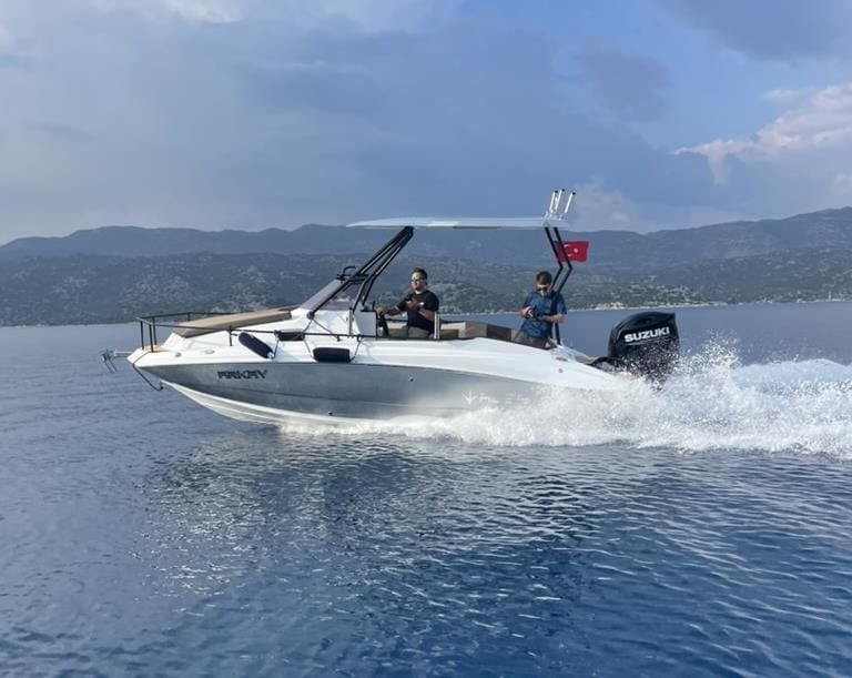 ALESTA SEA MAX 620 WA CABIN + MERCURY 115 HP PRO XS