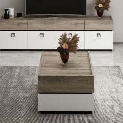 Zara Modern Orta Sehpa - Beyaz/Siyah/Asya