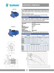 Sumak SM160/2 Santrifüj Pompa 1.5 HP 220V