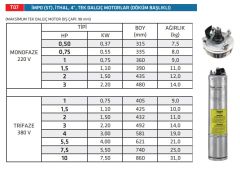 İmpo 4'' ST Dalgıç Pompa Motoru 3 HP 220V (Döküm Başlıklı)