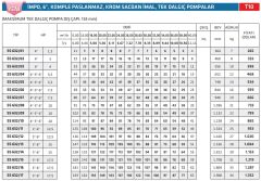 İmpo SS 632/15 - 6'' Paslanmaz Tek Dalgıç Pompa 169 Mss - 17.5 HP