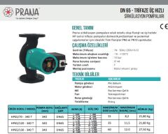 Prana HP 65/70 - 340 T Üç Hızlı Sirkülasyon Pompası DN65 380V