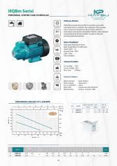 Kaysu HQBm80 Periferik Pompa Su Pompası 1 HP