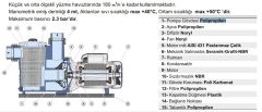 Pedrollo Magnıfıca 1T 0.75 HP 380 V Havuz Pompası Ön Filtreli