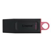 Kingston 256GB Exodia USB 3.2 Flash Bellek