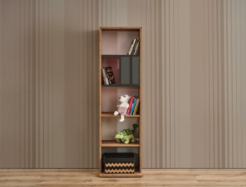 Smart Bookshelf