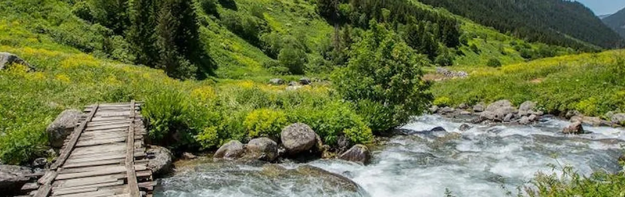 Rize Köftesi Turistlerin İlgi Odağı Oldu